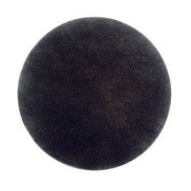 Cleanstar VC10LP pre-motor vacuum filter featuring a thick, round black foam pad