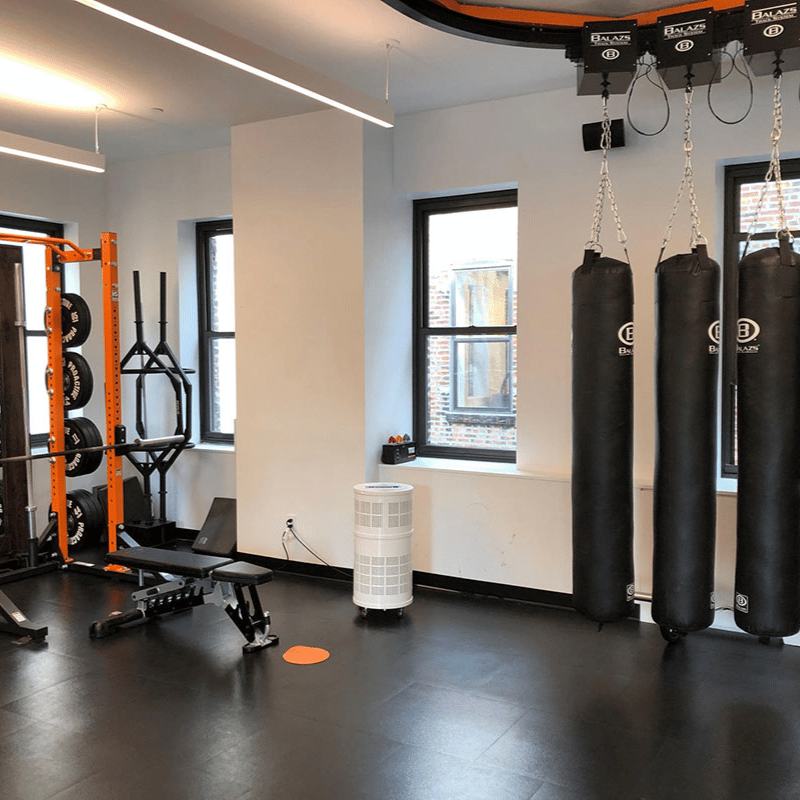 Rensair Q01B Hospital Grade HEPA Air Purifier gym setup