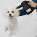 XPOWER Airrow Multipurpose Handheld Blower being used by a person to dry a pet dog