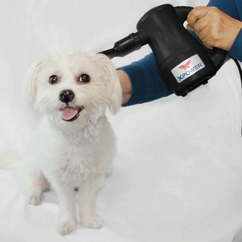 XPOWER Airrow Multipurpose Handheld Blower being used by a person to dry a pet dog