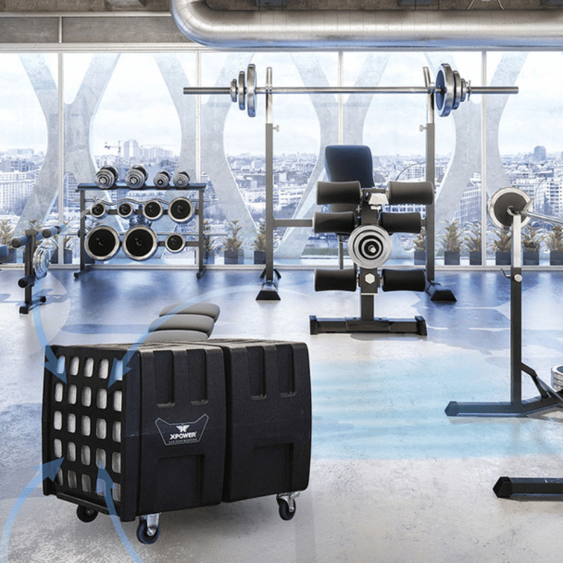 Xpower AP2000 High Volume Commercial Air Scrubber with Gym equipment including weights and a bench in a modern gym setting with large windows.