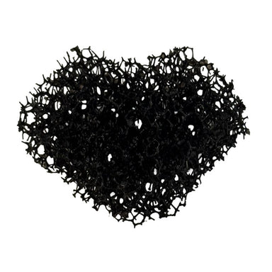 Cleanstar DRYFT Recovery Tank Inlet Filter in white background image